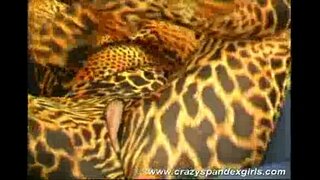 Šílený spandex dívka, škádlení, sex