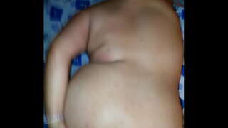 ���ிக் கழுதை